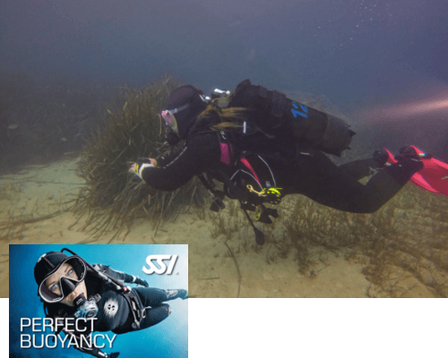 illu_perfectbuoyancy