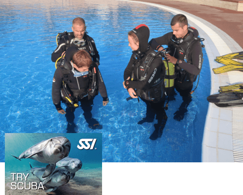 illu_tryscuba2
